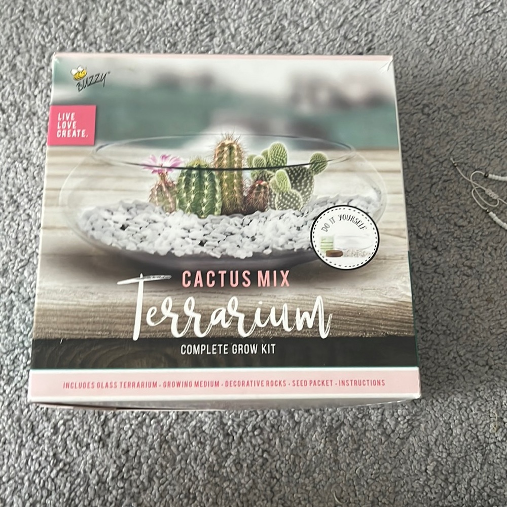 cactus mix terrarium complete grow kit